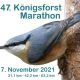 Königsforst - Marathon 2021
